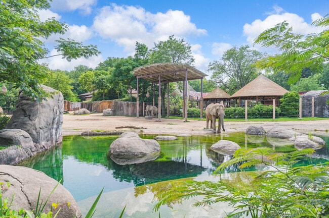Brooklyn Heights, OH is only a few minutes away from the Cleveland Metroparks Zoo.