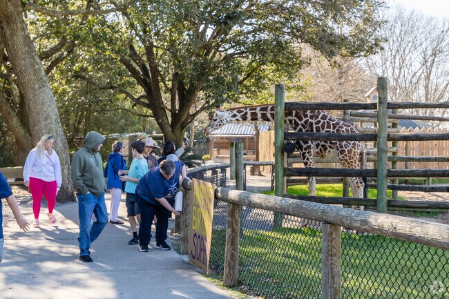 Explore the 30-acre preserve on the Safari Line Express at the Gulf Breeze zoo near Midway.
