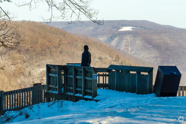 The New River Gorge National Park and Preserve protects the New River Gorge in southern West Virginia’s Appalachian Mountains.
