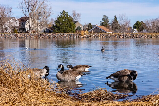 Blue Heron Park in Foothill Green is a haven for birds and wildlife.