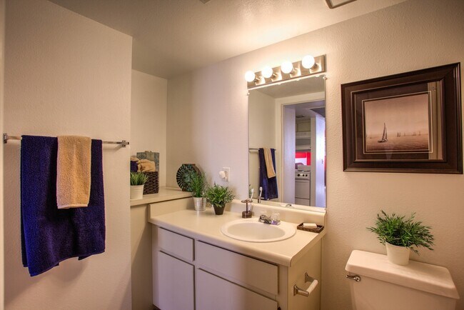 Campus Crossings at University Heights, Tucson, AZ 85719 - photo 6