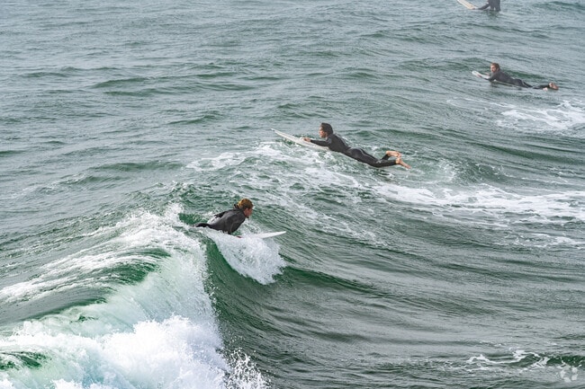 Newport Beach surfing offers world-class waves just a short drive from Harbor Ridge.