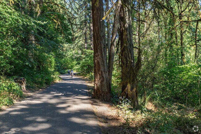 A shady path for bikes and pedestrians to enjoy in  Burnt Creek Greenway.