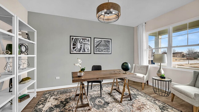 266 Snowdrop Ln, Elgin, IL 60124 - photo 3