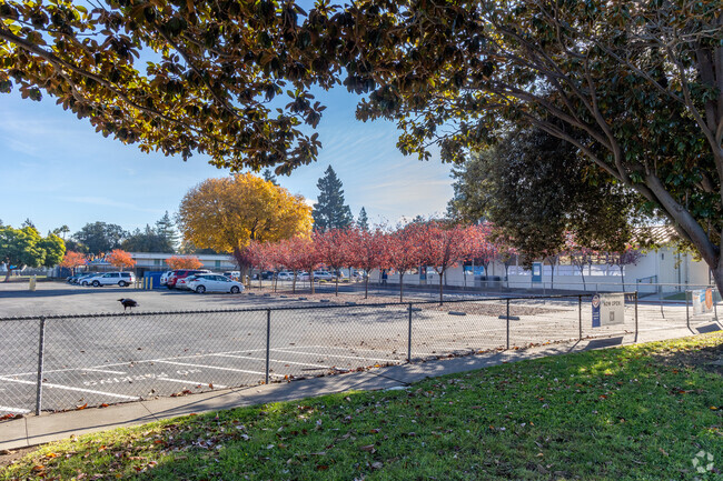 Scott Lane Elementary School offers a space where all people can learn and thrive.