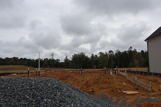 2461 Field Poppy Dr, Apex, NC 27502 - photo 4