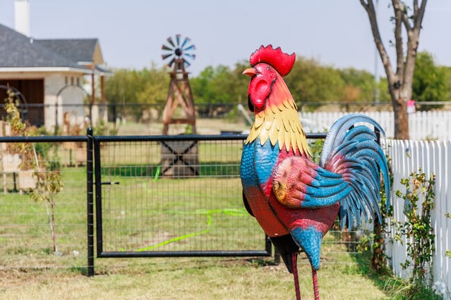 Freedom Acres Ranch is an equestrian facility located at 12186 FM 455 in Krum, Texas.