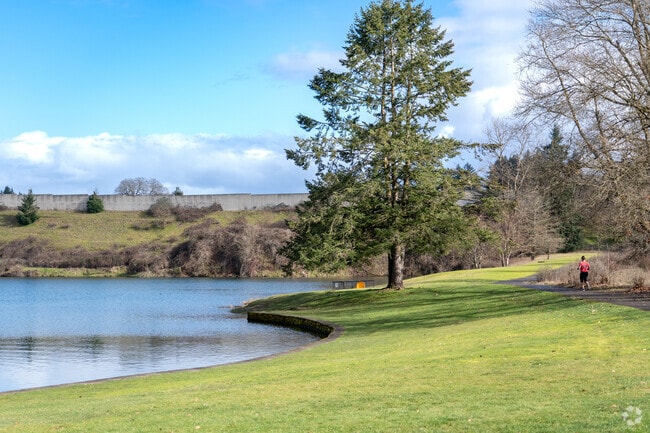 The city of Barberton enjoys stunning views of Salmon Creek.