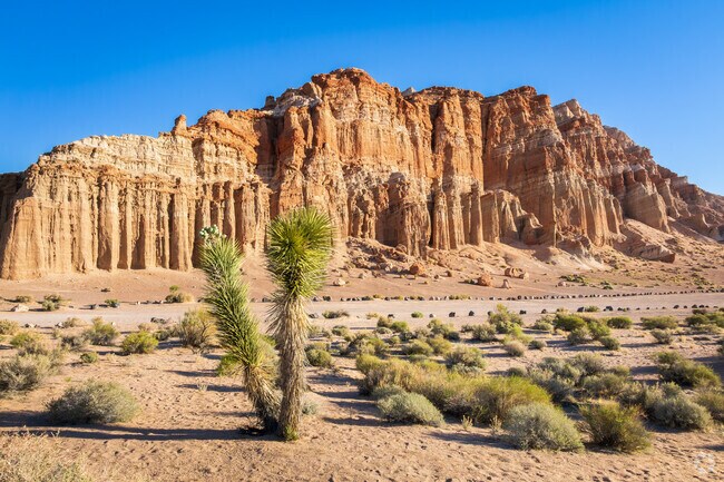 Joshua Trees add color and character to the already spectacular Red Rock Canyon State Park.ff