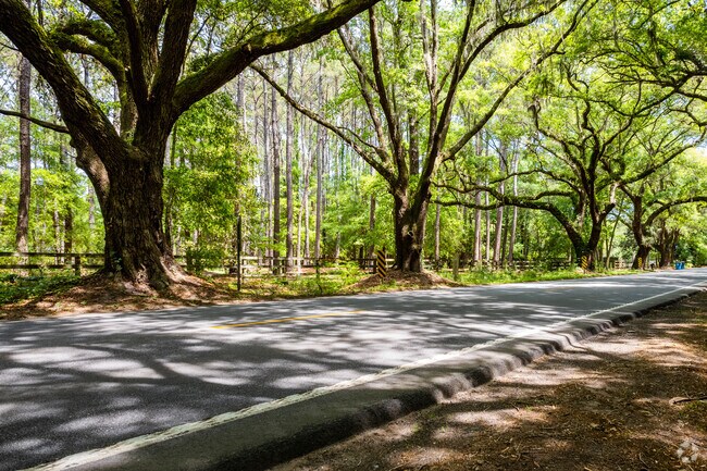 Beautiful treelined roads on Johns Island.