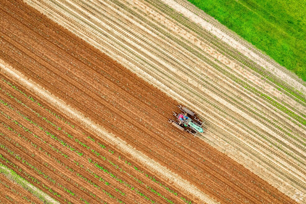 Loradale_526459_AS_063025_V1