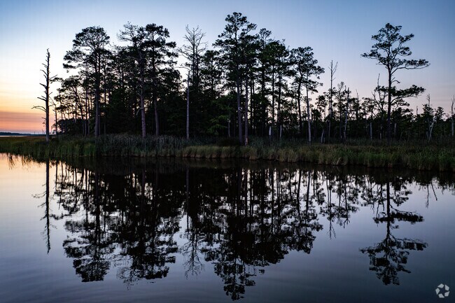 Blackwater National Wildlife Refuge offers trails and birdwatching near Cambridge.