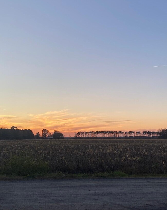 575 S 7th St unit 575, Aurora, NC 27806 - photo 3