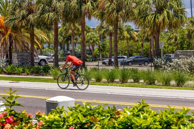 Bike lanes run the whole Gulf Blvd strip in Indian Shores allowing for miles bike riding.