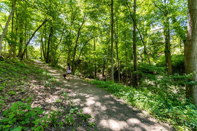 Take your furry friend for a walk in Vinegar Hollow and see the beauty of Ben Avon.