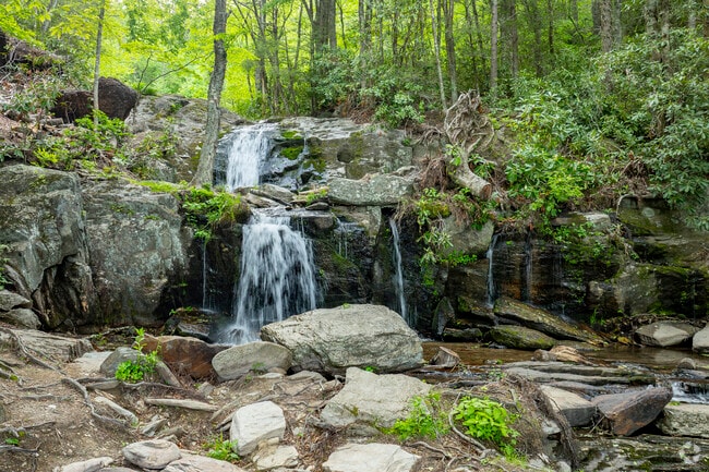 Enjoy outdoor adventures like hiking, fishing, and skiing with easy access to Grandfather Mountain, Linville Falls, and the Appalachian Trail.