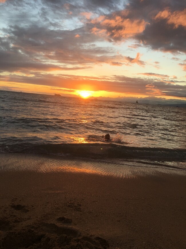 7403 N Ocean Blvd, Myrtle Beach, SC 29572 - photo 2