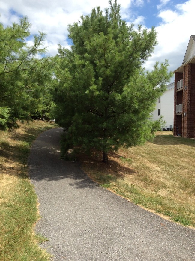 TASKER, Stephens City, VA 22655 - photo 3