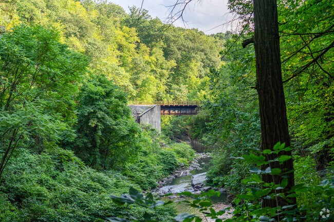 The Gorge in Nay Aug Park is a beautiful place for a hike.