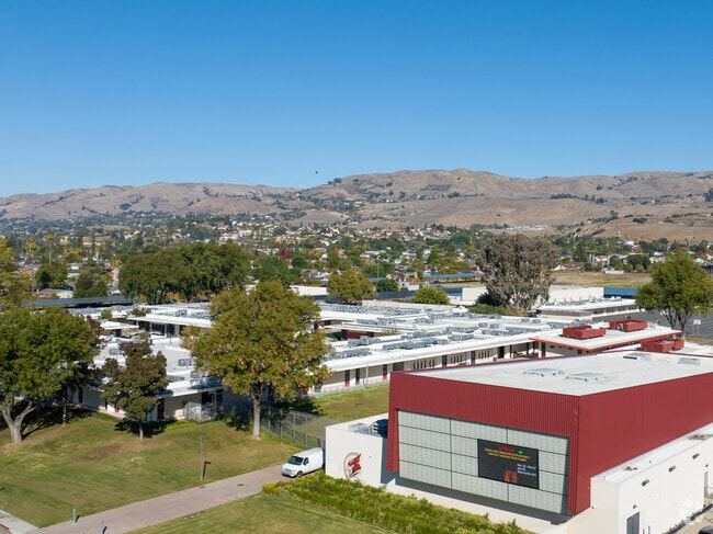 Thriving at Mt. Pleasant High School.