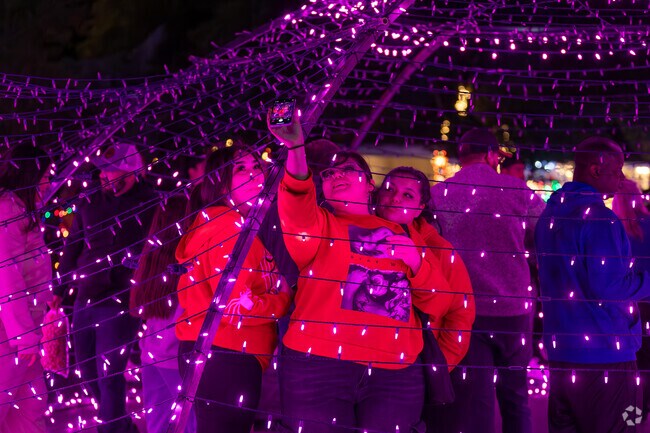 Winterhaven Festival of Lights brings out thousands of Tucsonan's to enjoy Christmas lights.