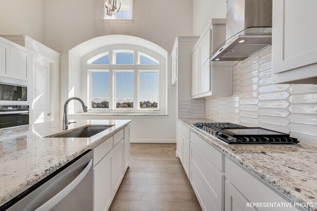 4706 Buttonbush Dr unit 36496168, Venus, TX 76084 - photo 4