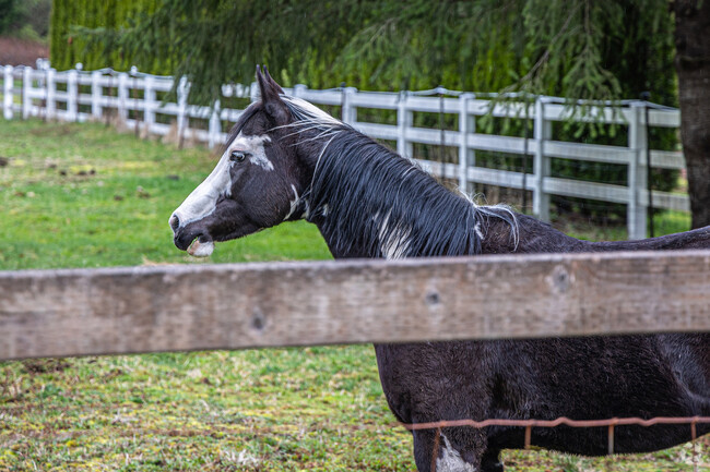 Ernie's Grove is admist ample farm land and natural areas.