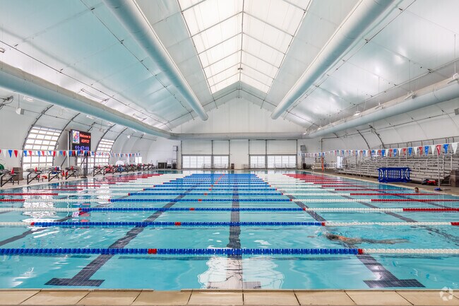 An indoor pool with large swimming lanes.