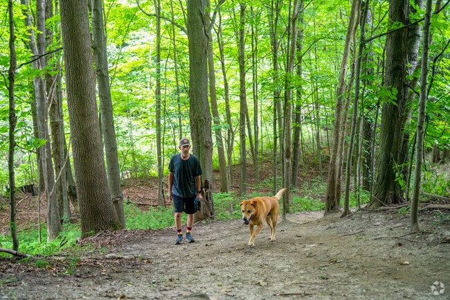 A man and his dog hike up a steep hill at the Sucker Brook Hollow Trail in Saint George.