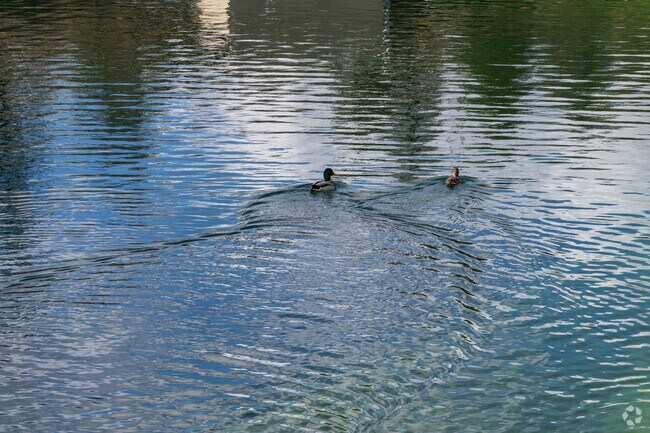 South Shore offers lots of diverse wildlife available right in your backyard.