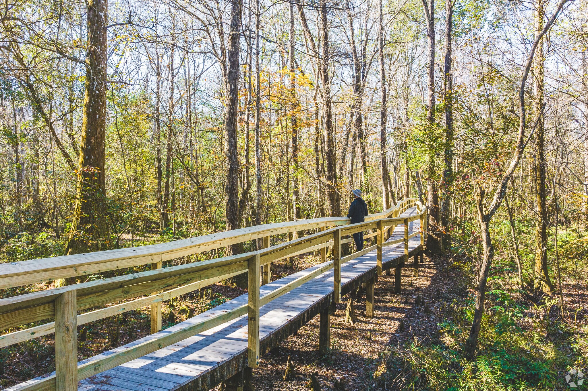 Muddy Creek Wetlands Area is a wonderful place to spend the afternoon near Jackson Creek.