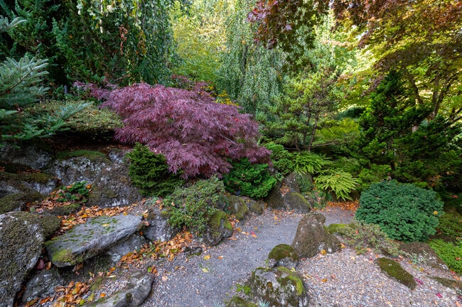 Elk Rock Garden is open to the public and showcases impressive trees and plants in Dunthorpe.