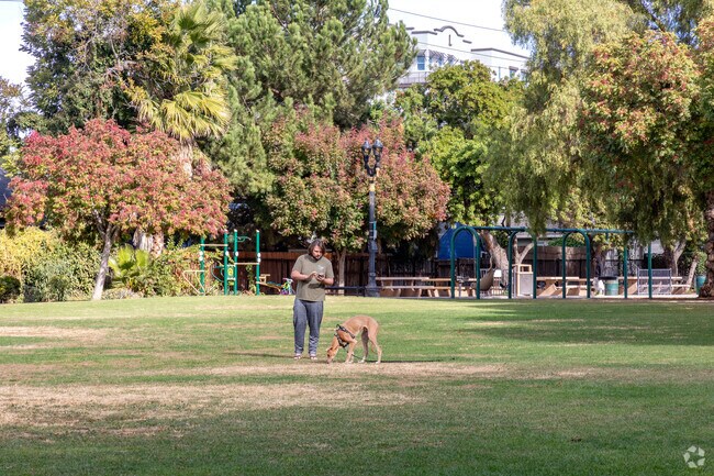 Your dogs will love the grass at Ryland Park.