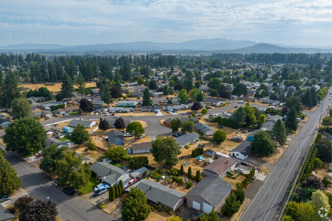 Older ranch homes cluster in the southwest corner of Parkway East on spacious lots.