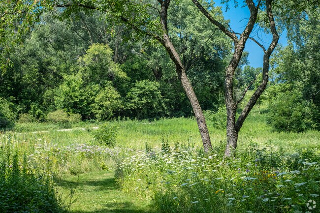 Cherokee Marsh Conservation Area in Madison is a great place for a nature hike.