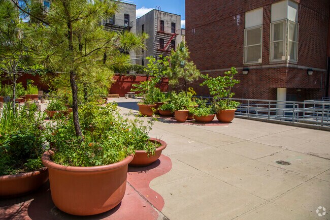 PS 110 school garden teaches students about the importance of nature.