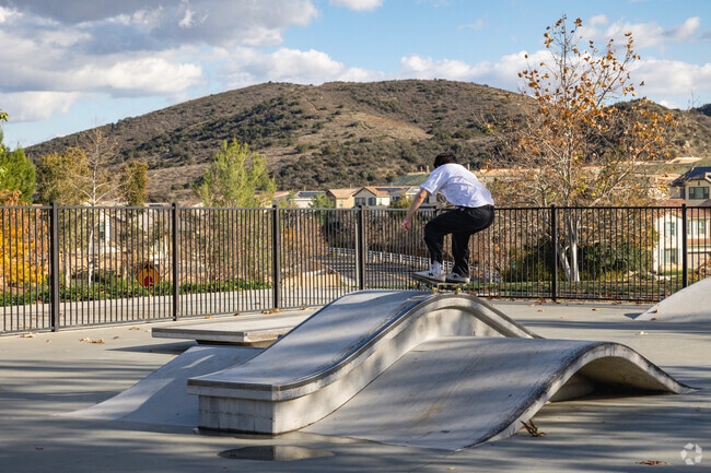 Kids love the skate park at Deleo Regional Sports Park in Sycamore Creek.