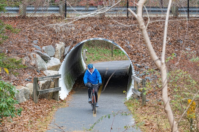 Brewster’s Cape Cod Rail Trail is perfect for biking and hiking.