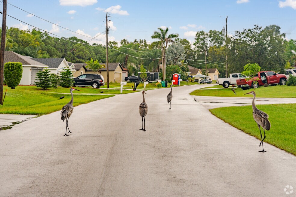 Neighborhood_St Lucie North_Final_022224