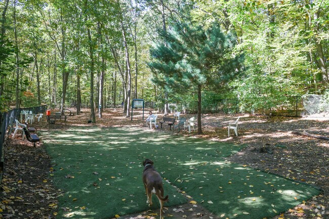 The Manchester dog park is lovely wooded dog park.
