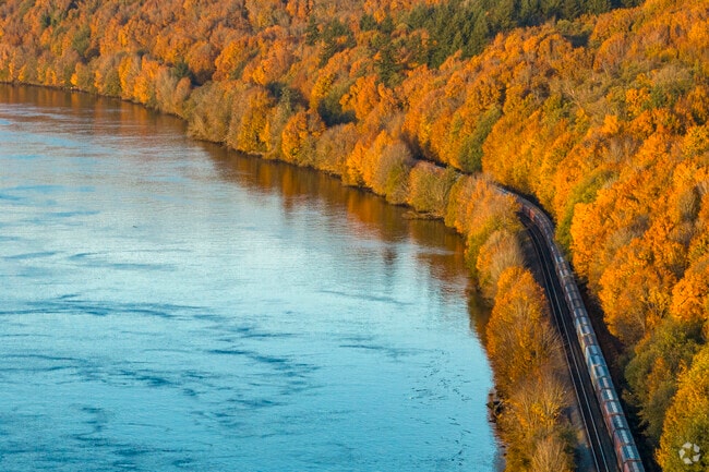 A train passes under the Tacoma Narrows Bridge as fall colors engulf it.