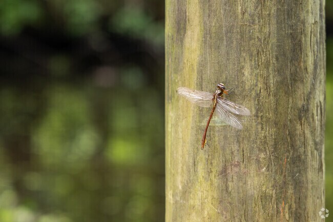 Nature is right in reach in Shearwater.