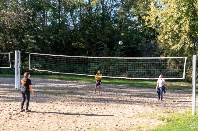 Some children play volleyball at Lake Villa Township Park.