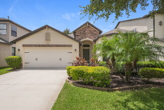 2513 Cross More St, Valrico, FL 33594