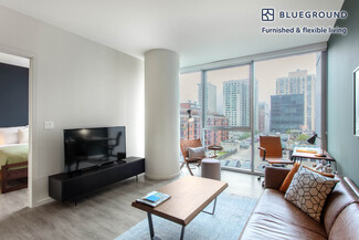 8 E Huron St Unit FL8-ID127, Chicago, IL 60611