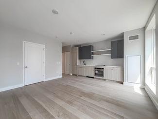 1255 N Sandburg Terrace, Chicago, IL 60610