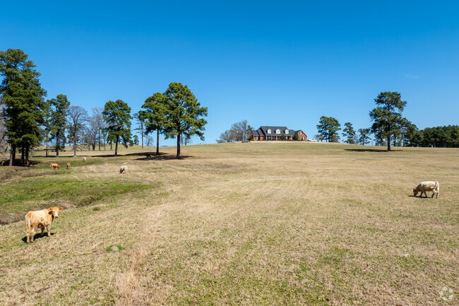 Discover the ideal blend of space and country living in Marshall, Texas, with this expansive property featuring ample acreage and room for cattle or livestock.
