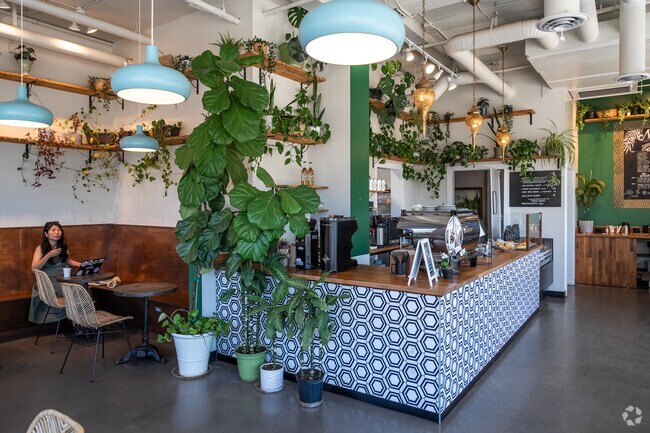 QED Coffee in High Point is a Moroccan coffee shop with a great atmosphere.