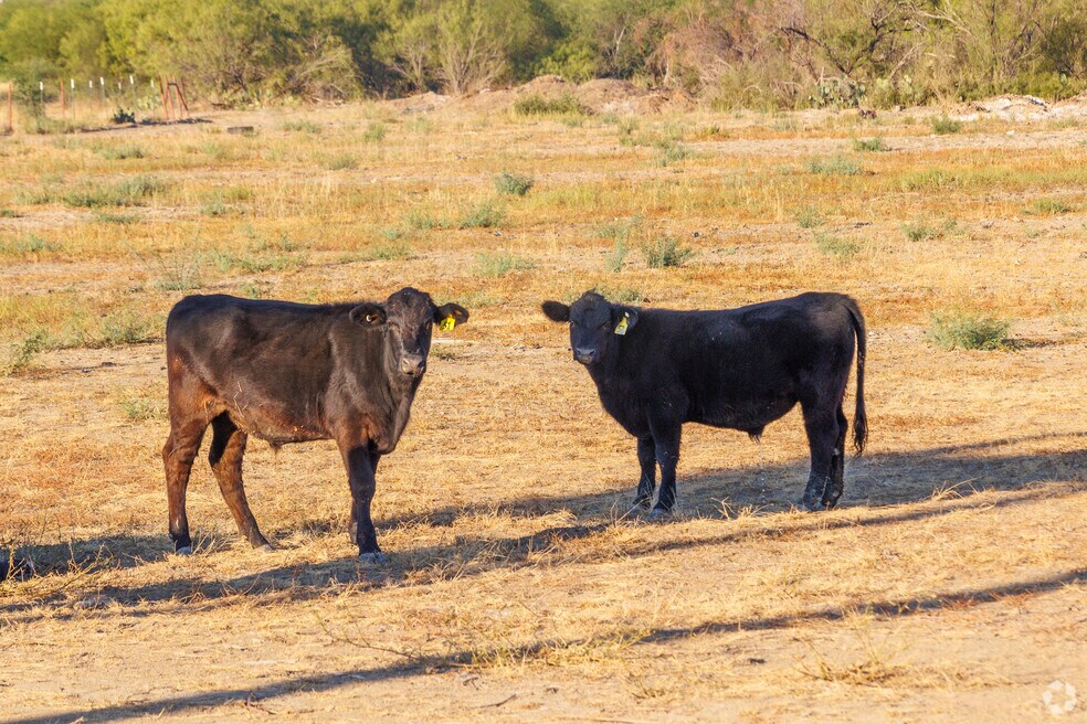 NH_Eidson Road_559207_P2_v1_JB_011525