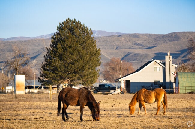 Many residents in the town of Emmett in Gem County have acres of land for horses and livestock.